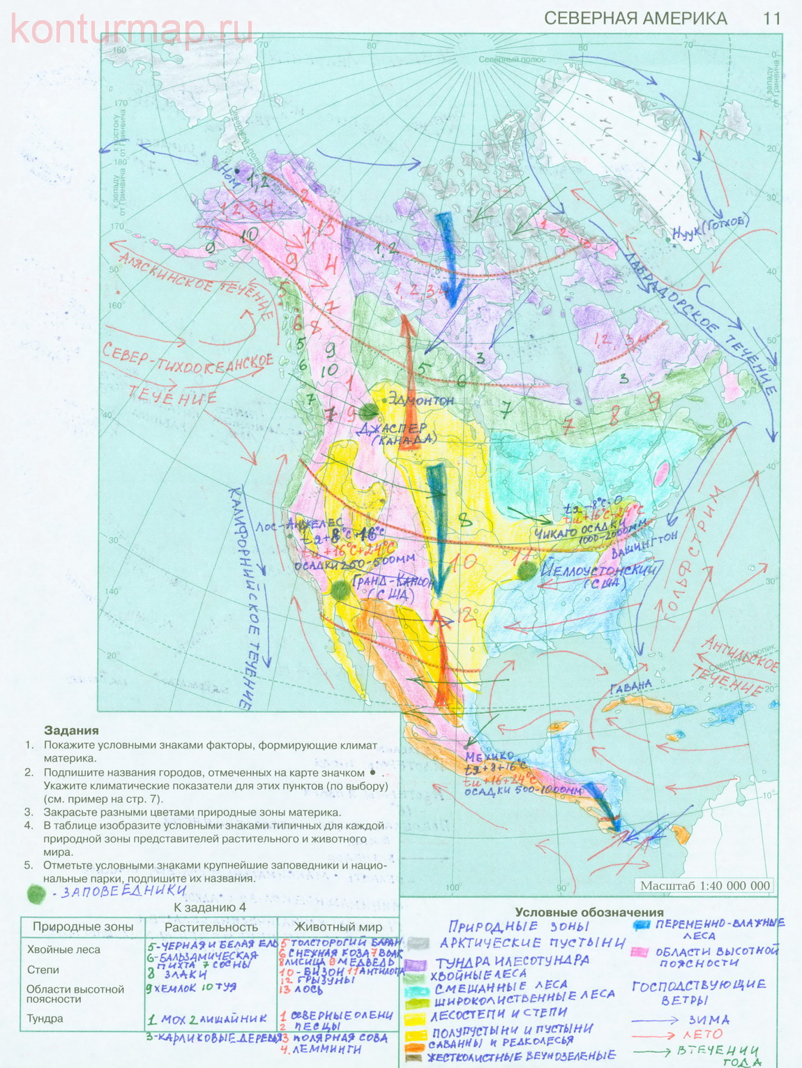 Контурная карта по географии 7 класс ответыафрика природные зоны